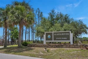 11963 BROWNING ROAD, LITHIA, FL 33547 Sold 09/13/24