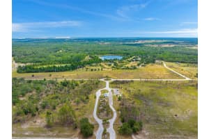11963 BROWNING ROAD, LITHIA, FL 33547 Sold 09/13/24
