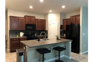 10002 CRESTED FRINGE DRIVE, RIVERVIEW, FL 33578 Sold 06/22/23