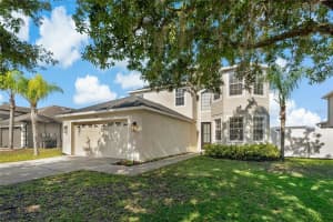 3139 CHESSINGTON DRIVE, LAND O LAKES, FL 34638 Sold 07/20/23