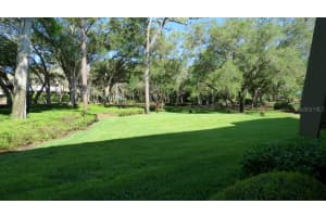 36750 US HIGHWAY 19 N #24110, PALM HARBOR, FL 34684 Sold 06/20/24