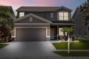 12508 BAY BRANCH COURT, TAMPA, FL 33635 Sold 08/11/23