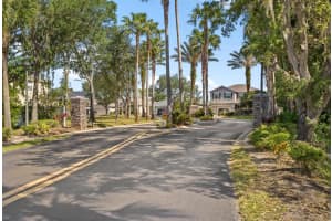 12508 BAY BRANCH COURT, TAMPA, FL 33635 Sold 08/11/23