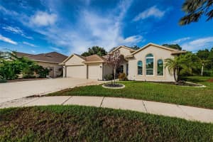 2911 PUNTA PALMA COURT, HOLIDAY, FL 34691 Sold 08/11/23
