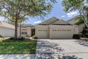 10502 SKY FLOWER COURT, LAND O LAKES, FL 34638 Sold 06/29/23
