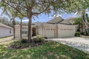 10502 SKY FLOWER COURT, LAND O LAKES, FL 34638 Sold 06/29/23