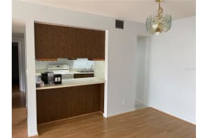 850 VILLAGE LAKE TERRACE, ST PETERSBURG, FL 33716 Sold 11/06/23