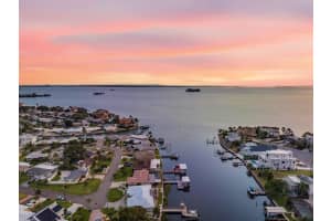 2296 Edythe Dr, Dunedin, FL 34698, Sold 04/19/24