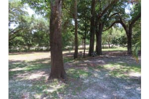 1167 MISSION CIRCLE, CLEARWATER, FL 33759 Sold 08/31/23