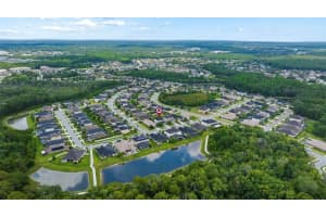 1690 VIRGINIA WILLOW DRIVE, WESLEY CHAPEL, FL 33544 Sold 07/03/23