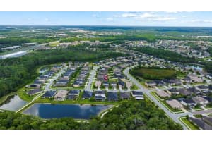 1690 VIRGINIA WILLOW DRIVE, WESLEY CHAPEL, FL 33544 Sold 07/03/23