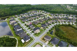 1690 VIRGINIA WILLOW DRIVE, WESLEY CHAPEL, FL 33544 Sold 07/03/23