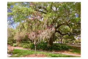 501 BAY DRIVE, LARGO, FL 33770 Sold 08/25/23