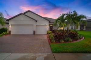 10010 CELTIC ASH DRIVE, RUSKIN, FL 33573 Sold 06/30/23