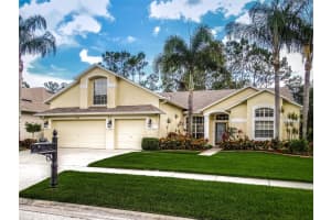 12518 LEATHERLEAF DRIVE, TAMPA, FL 33626 Sold 07/06/23