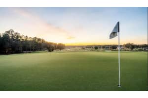 19573 STERLING BLUFF WAY, BROOKSVILLE, FL 34601 Sold 08/06/24