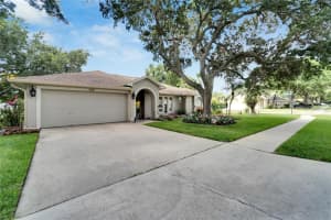 5810 BITTER ORANGE AVENUE, TAMPA, FL 33625 Sold 07/14/23