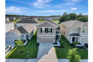 16035 SOFT FERN TRACE, ODESSA, FL 33556 Sold 09/15/23