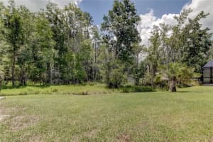 1119 DARTFORD DRIVE, TARPON SPRINGS, FL 34688 Sold 12/20/23