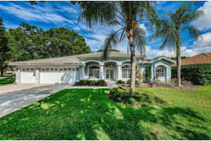 1002 KINGS WAY LANE, TARPON SPRINGS, FL 34688 Sold 07/25/23