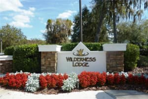 7842 CITRUS BLOSSOM DRIVE, LAND O LAKES, FL 34637 Sold 08/12/23