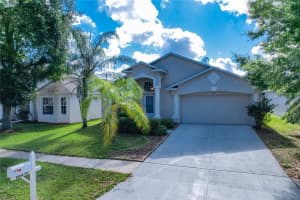 10039 CREEK BLUFF DR, RIVERVIEW, FL 33578 Sold 08/02/23