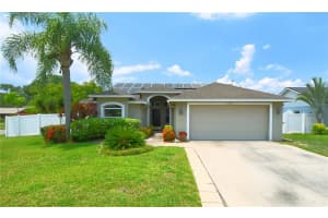 15102 WILLOWDALE ROAD, TAMPA, FL 33625 Sold 08/07/23