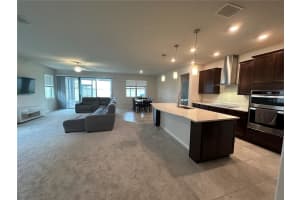 11205 GREEN HARVEST DRIVE, RIVERVIEW, FL 33578 Sold 08/17/23