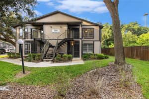 3948 TUMBLE WOOD TRAIL, TAMPA, FL 33613 Sold 09/08/23