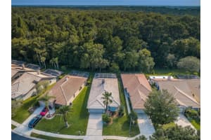 3704 DARSTON STREET, PALM HARBOR, FL 34685 Sold 01/11/24