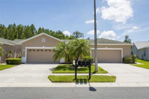 8305 FALLGLO LANE, LAND O LAKES, FL 34637 Sold 08/24/23