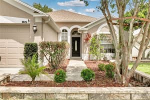 1825 ALVARA PLACE, TRINITY, FL 34655 Sold 09/25/23