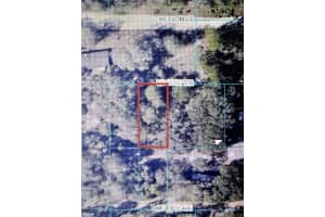 TBA 137TH TERRACE, FORT MC COY, FL 32134 - MLS#MFRU8206538