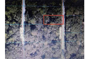 TBA 144TH TERRACE, FORT MC COY, FL 32134 - MLS#MFRU8206547