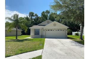4607 MCBRINE COURT, LAND O LAKES, FL 34639 Sold 12/11/23