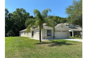 4607 MCBRINE COURT, LAND O LAKES, FL 34639 Sold 12/11/23