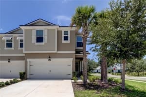 2315 SUNSET WIND LOOP, OLDSMAR, FL 34677 Sold 09/06/23