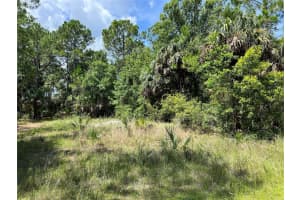 TBD GIRARD ROAD, HUDSON, FL 34679 - MLS#MFRU8208217