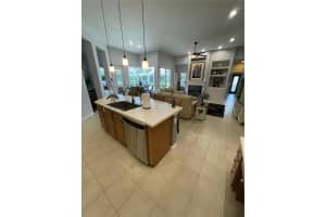 2873 DEER RUN, TARPON SPRINGS, FL 34688 Sold 04/04/24