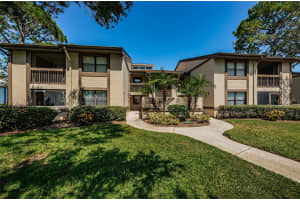 335 WOODLAKE WYNDE #41, OLDSMAR, FL 34677 Sold 11/06/24