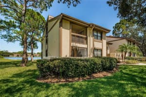 335 WOODLAKE WYNDE #41, OLDSMAR, FL 34677 Sold 11/06/24
