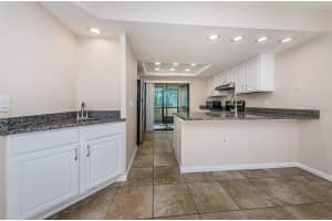 335 WOODLAKE WYNDE #41, OLDSMAR, FL 34677 Sold 11/06/24