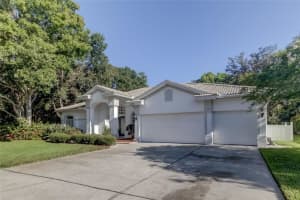 1327 KINGS WAY LANE, TARPON SPRINGS, FL 34688 Sold 09/05/23