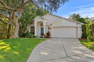 9505 HAMLET LANE, TAMPA, FL 33635 Sold 09/15/23