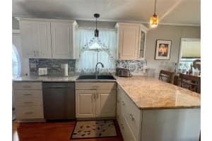 305 MOUNT SAXON AVENUE, ST PETERSBURG, FL 33702 Sold 05/30/24