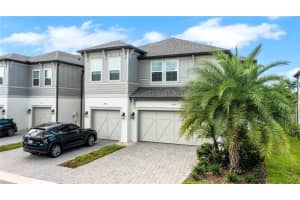 2435 FOGGY CREEK CIRCLE, CLEARWATER, FL 33764 Sold 10/16/23