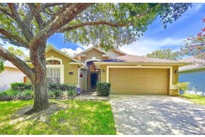 18908 NEST FERN CIRCLE, TAMPA, FL 33647 Sold 09/15/23