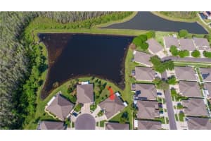 19315 HASKELL PLACE, LAND O LAKES, FL 34638 Sold 10/16/23