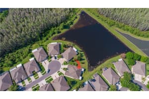 19315 HASKELL PLACE, LAND O LAKES, FL 34638 Sold 10/16/23