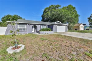 610 LIMETREE DRIVE, OLDSMAR, FL 34677 Sold 12/27/23
